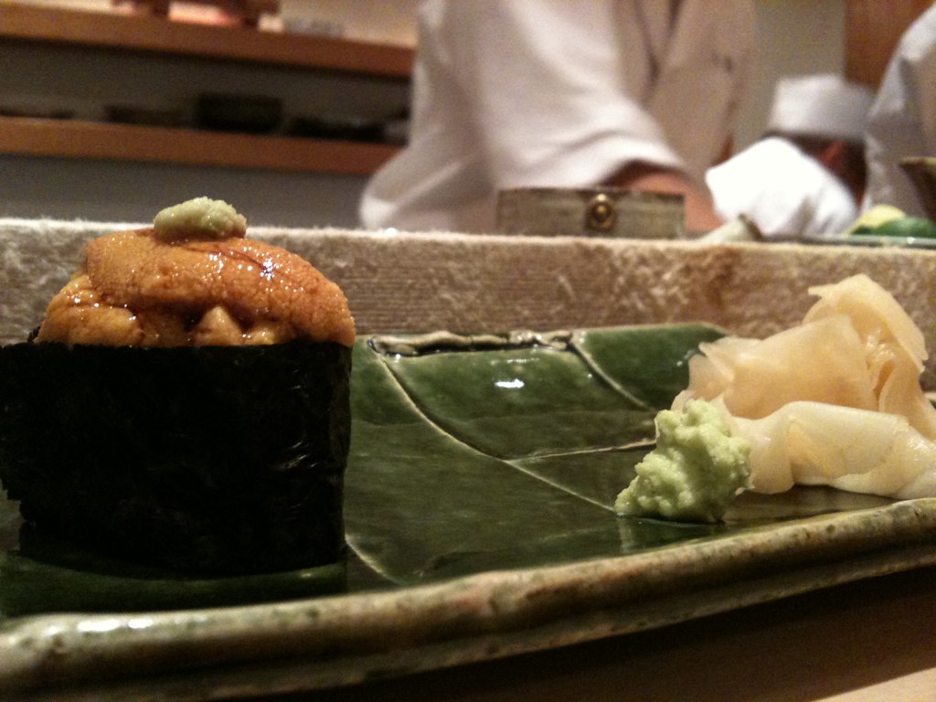 urchin Kresta Painter Flickr