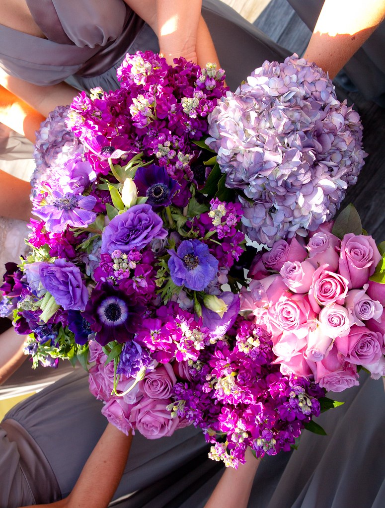 Untitled athens.flowers Flickr