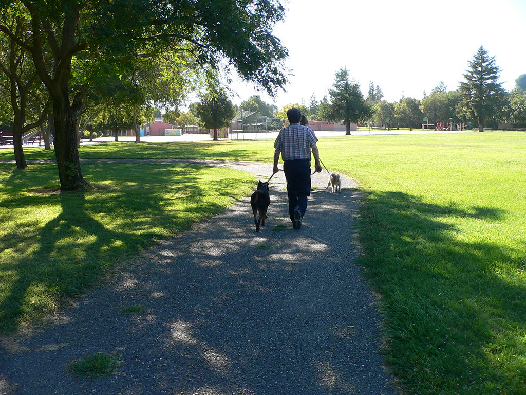 Dog Walking Walking the dogs in the park behind Cesar Chav… Flickr