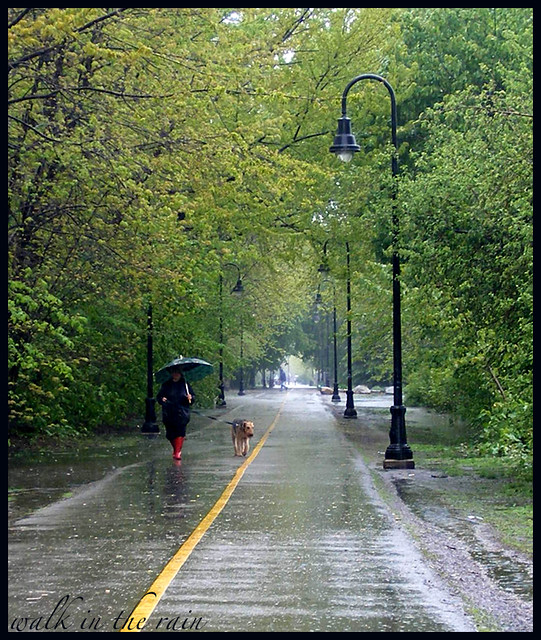 rain a walk in the rain (somerville bike path) miss_skittlekitty