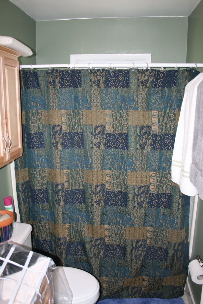 Old Shower Curtain! Our old and boring, but matching, show… Dave