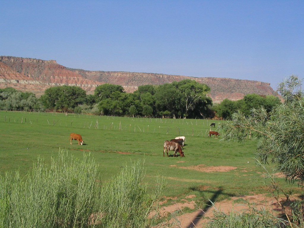 Utah State Route 9 Near Rockville, Utah Agricultural area … Flickr