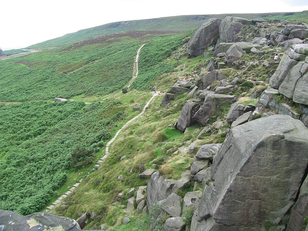 Well traveled paths Ilkley Moor, YorkshireCow and Calf Ro… phily