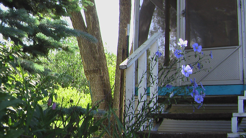 Home on lot 25, Mapleton Mobile home park, Boulder, for Sa… Flickr