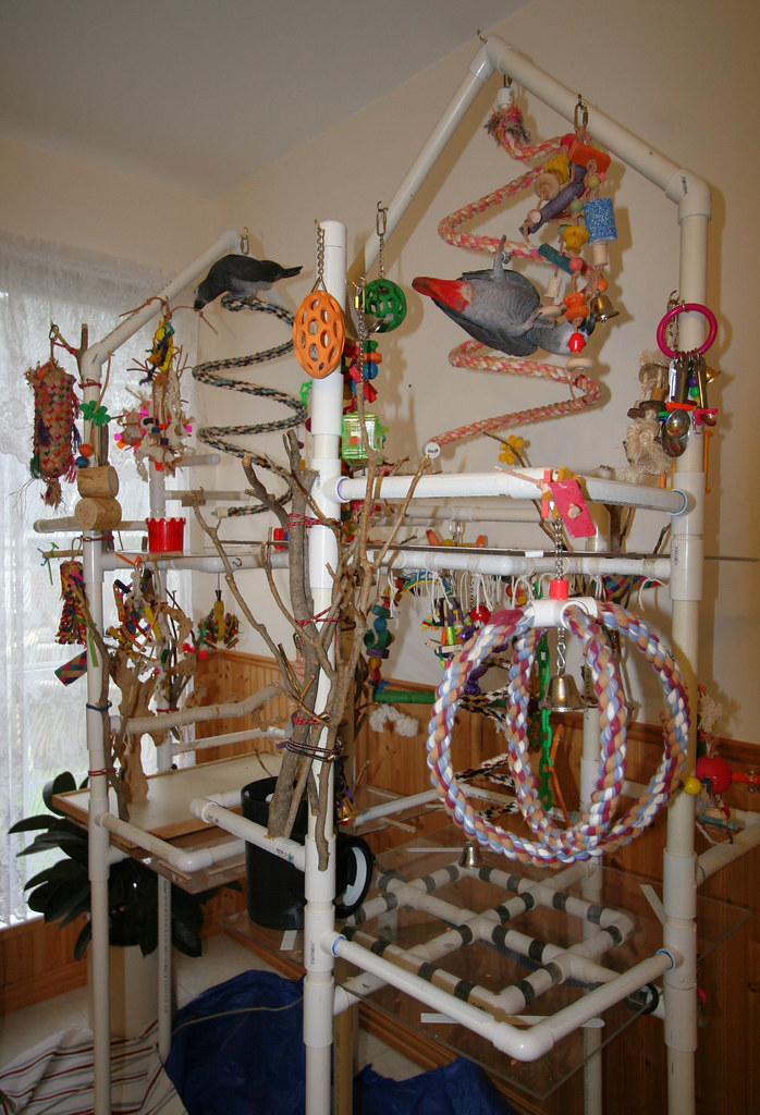 4apartment bird gym. Birds relax. Play better. I built tw… Flickr