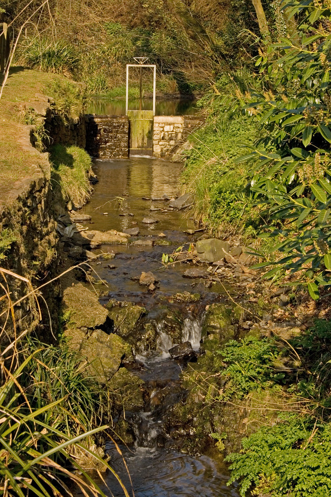 Holo Devon 12 Orford Mill, Torrington North Devon Frank Darnell