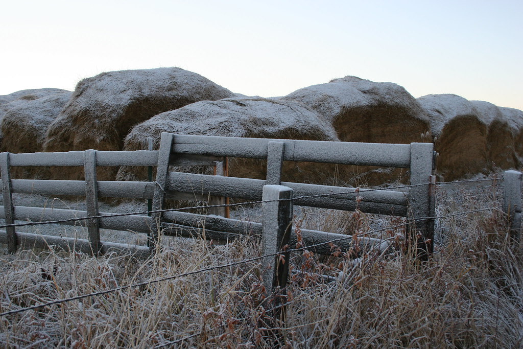 IMG_0428 Hay bales near Baker City, Oregon Steve Cookinham Flickr