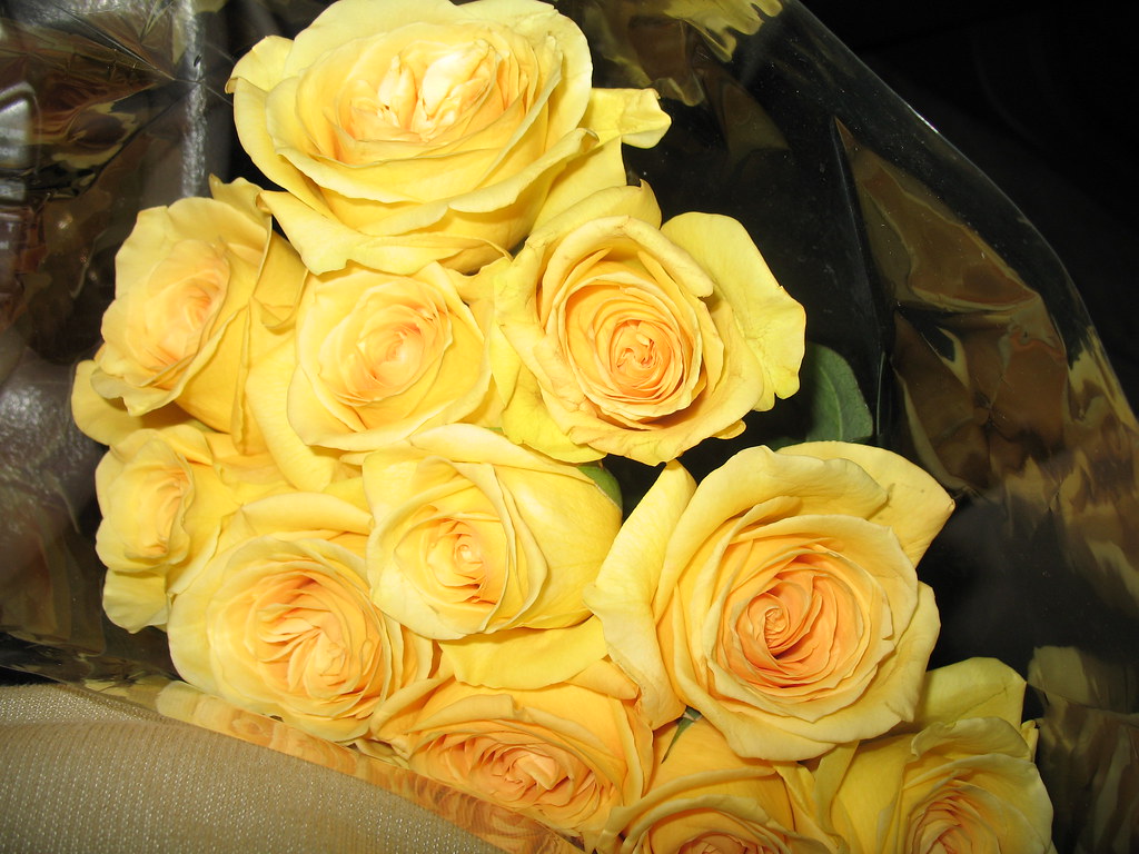 Yellow roses .. of Texas .. for my mom The Gifted Photographer Flickr