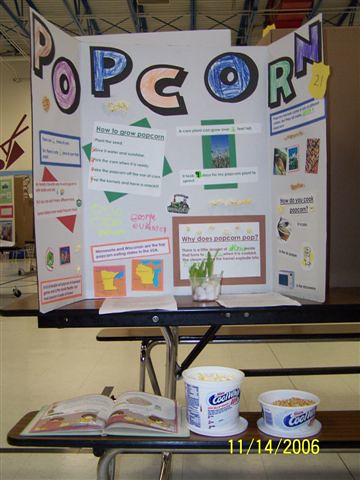 Popcorn for Science Fair Project | Heather | Flickr