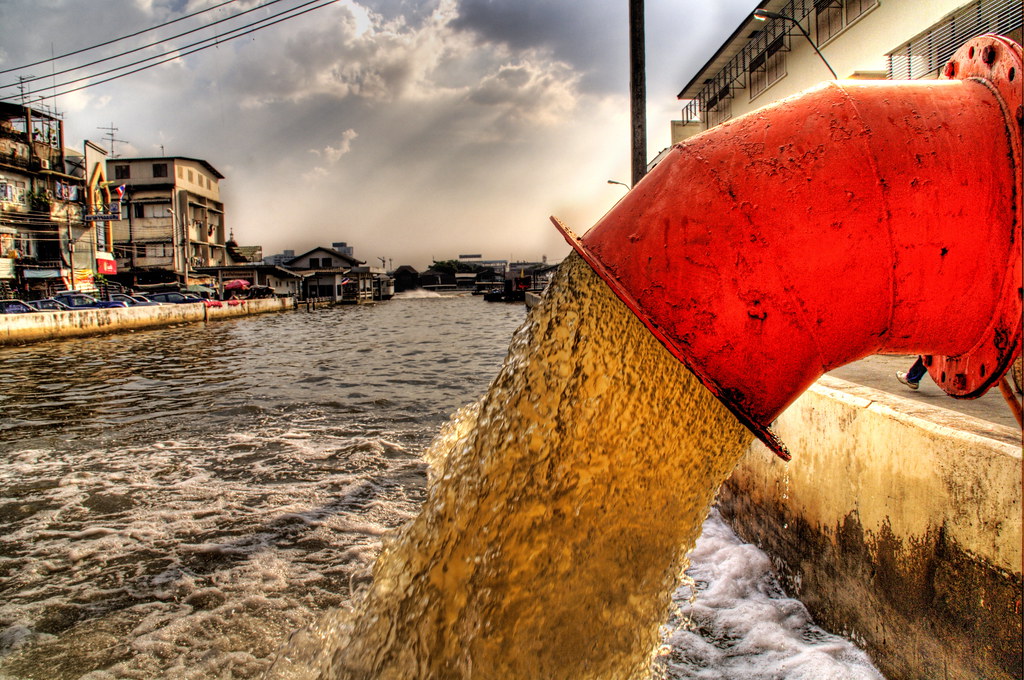 Hot Raw Sewage A lovely inlet in Bangkok where a delicate … Flickr