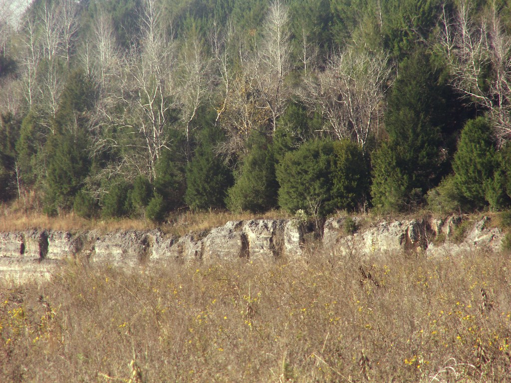 Limestone Quarry in Alachua County, Florida, View 5 Flickr
