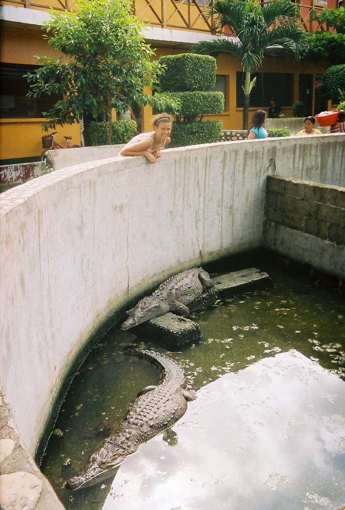 Livingston's Alligators In Livingston there were black Gua… Flickr