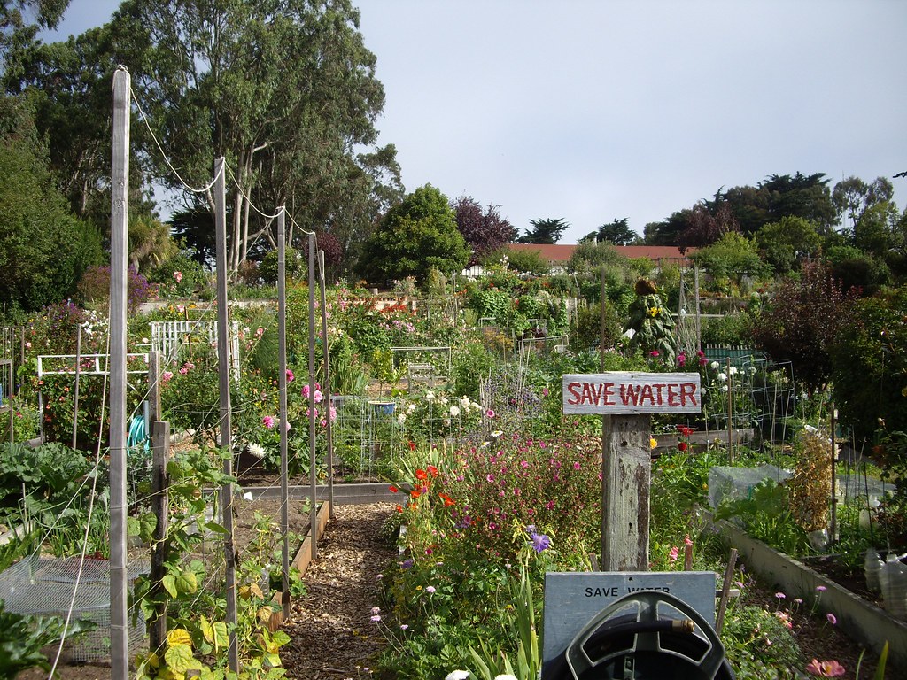 Fort Mason Community Garden greychr Flickr