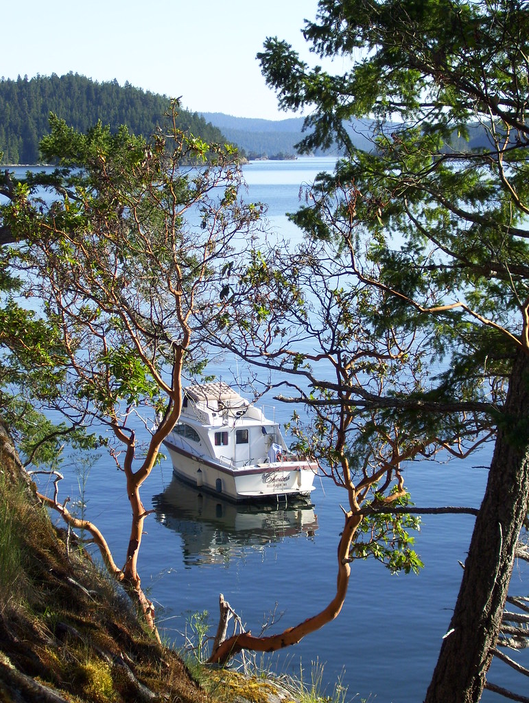 32boat Bernice Tracy Flickr