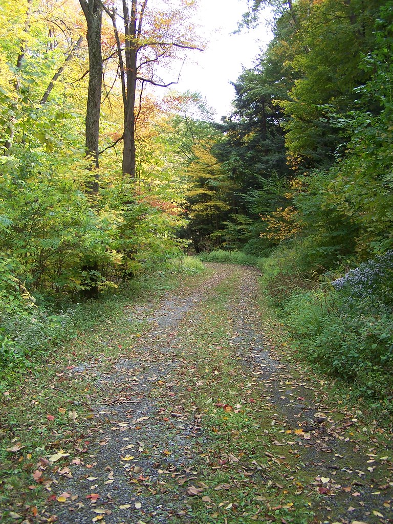 Road in autumn Near Prince Gallitzin Spring Blair County, … Flickr