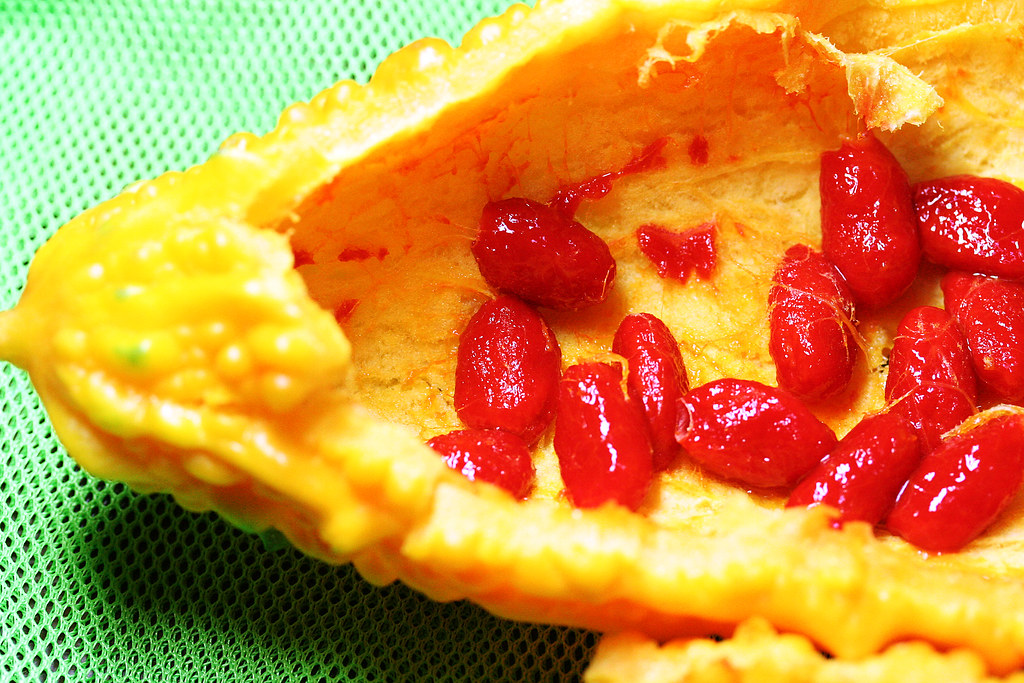 Bitter Melon Seed Momordica charantia Japanese nameNigaU… Flickr