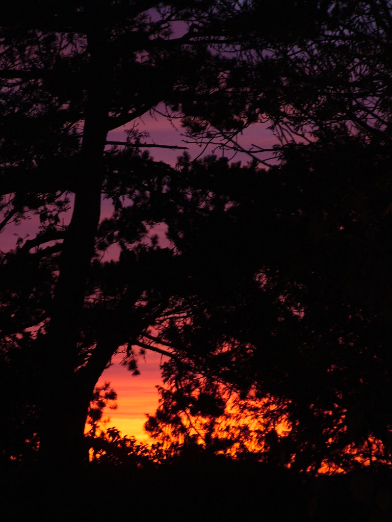 Marston Road Sunset anataman Flickr