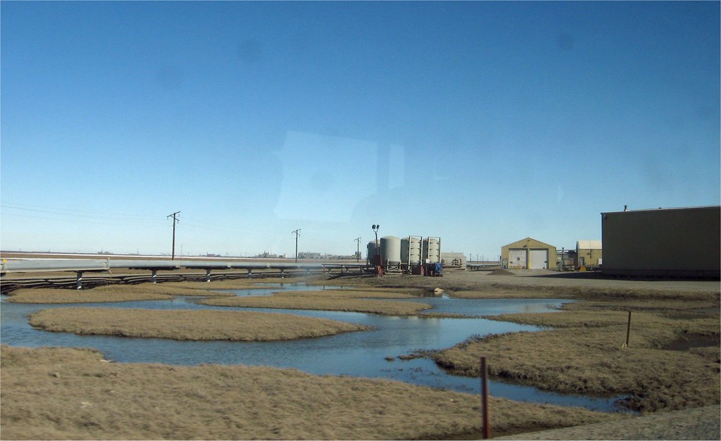 Prudhoe Bay, Alaska Jun 16 07 Around Prudhoe by bus driv… Flickr