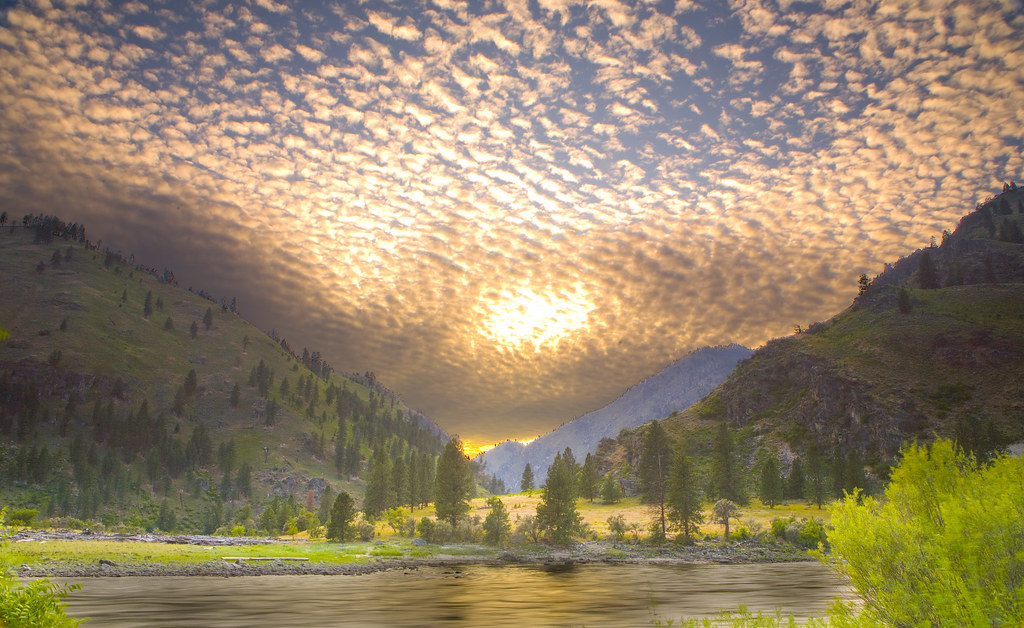 Mackay Creek Looking from Mackay Bar Main Salmon River, Id… Flickr