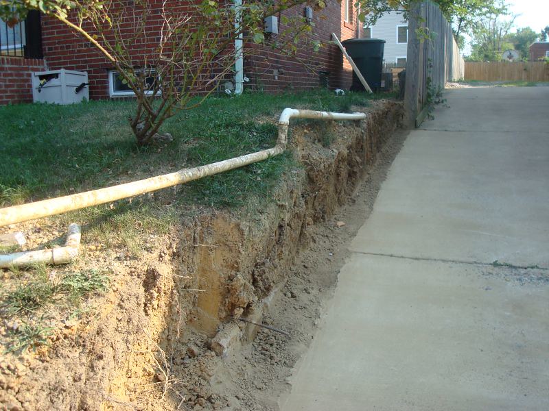 Wall, what wall? Flickr