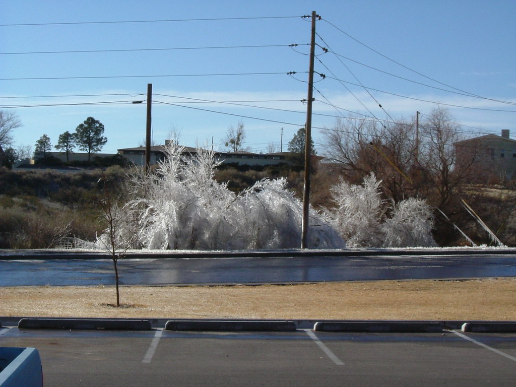 Freezing weather + malfunctioning sprinklers Taken outside… Flickr