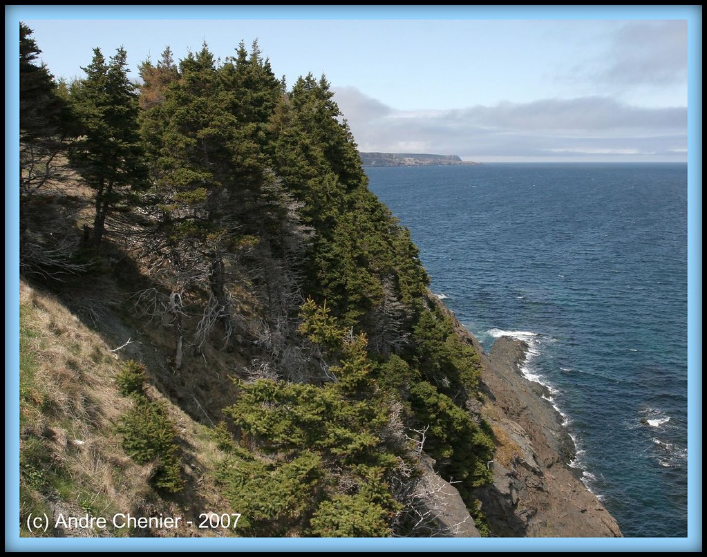 Outer Cove, Newfoundland Outer Cove, Newfoundland May 20… Flickr