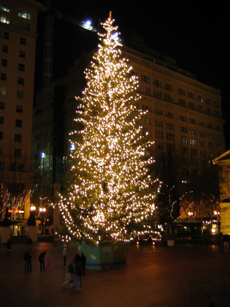 Portland Tree The tree in Pioneer Square in Portland Kiley Watson Flickr