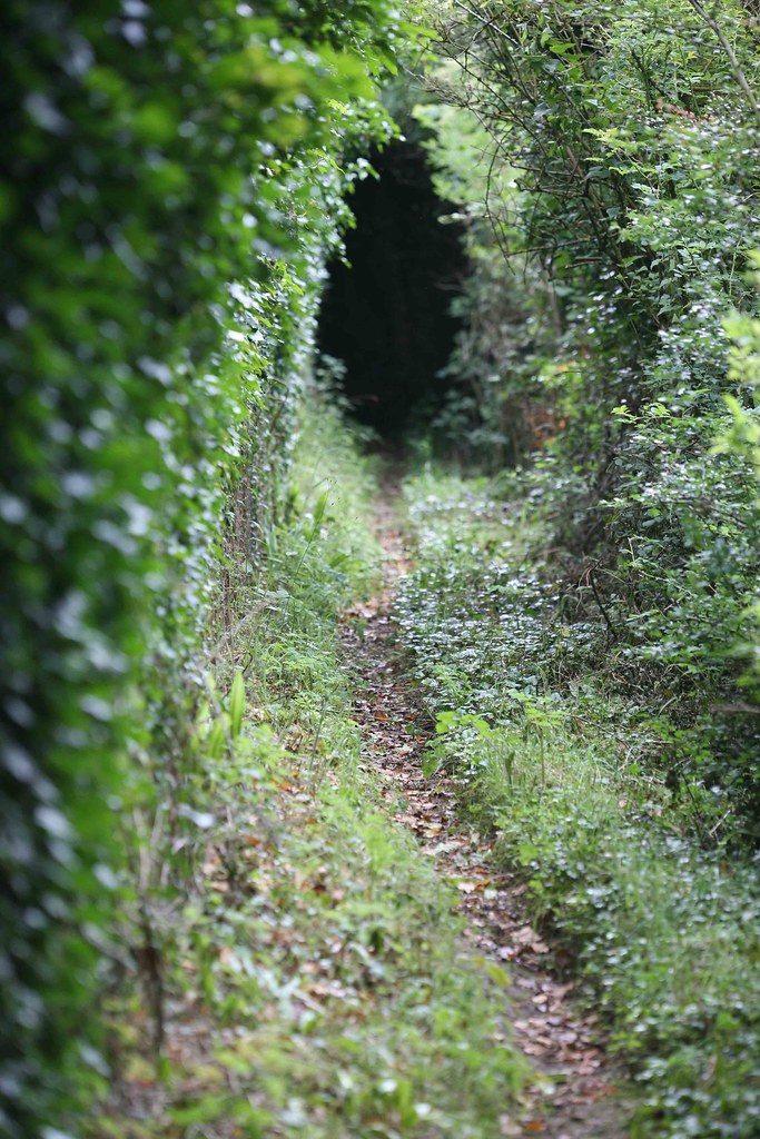 hambrook lane colin young Flickr