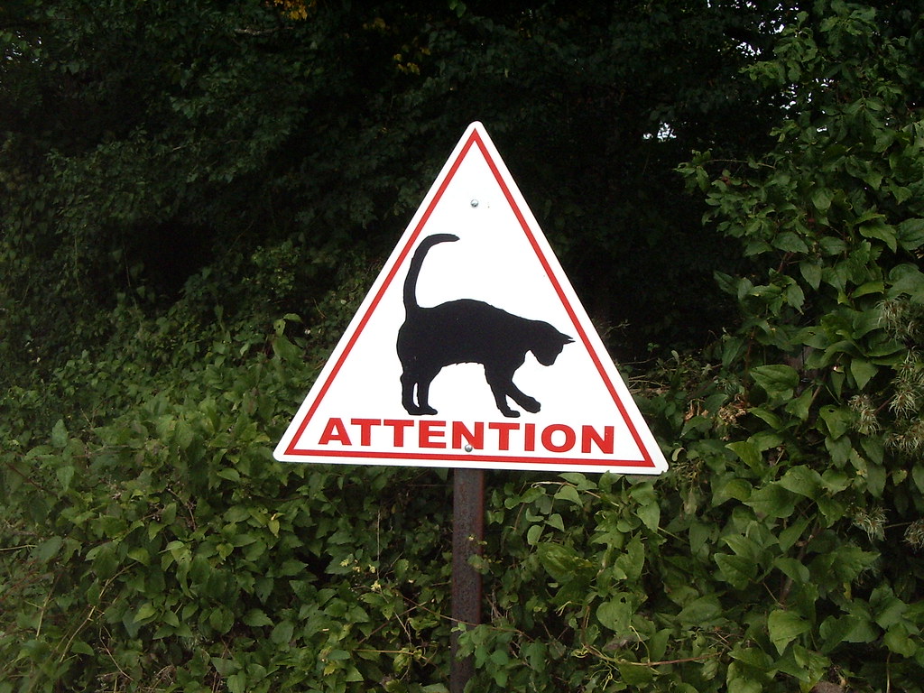 Panneau attention au chat Panneau rencontré lors d'une ran… Flickr