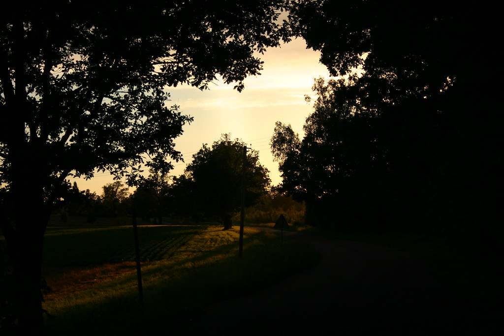 Untitled Zane Store Flickr