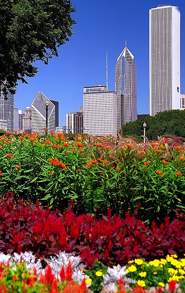 Chicago Grant Park Flowers & Skyline David Ohmer Flickr