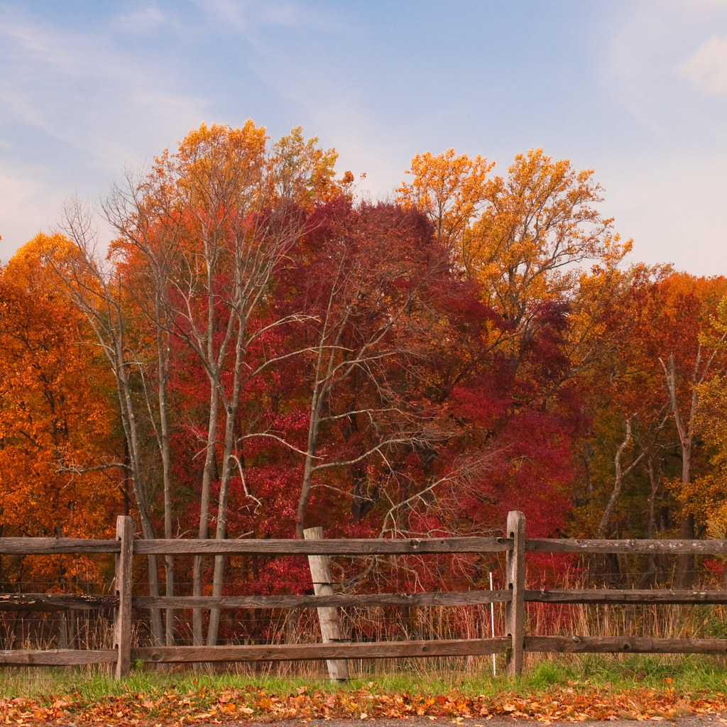 Westchester Farm BKNYDUGGA Flickr