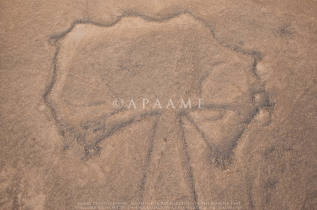 Aritein Kite 4 APAAME_20101021_KRH0036.dng Aerial Photographic