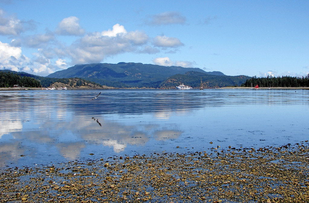 Drew Harbour, Quadra Island, B.C. View On Black Just anoth… Flickr