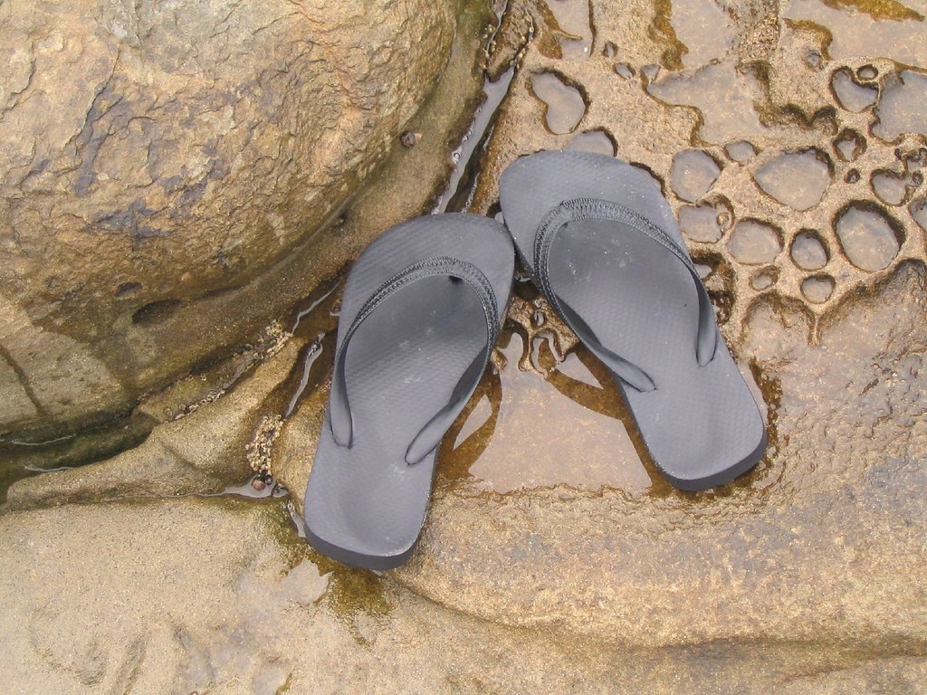 My shoes got wet ChaseMyTail Flickr