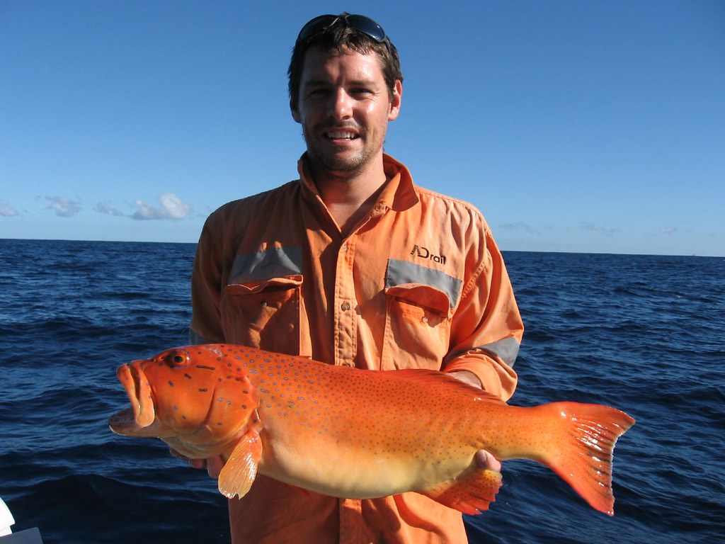 Coral Trout Jason caught this Coral Trout on a fishing tri… Flickr