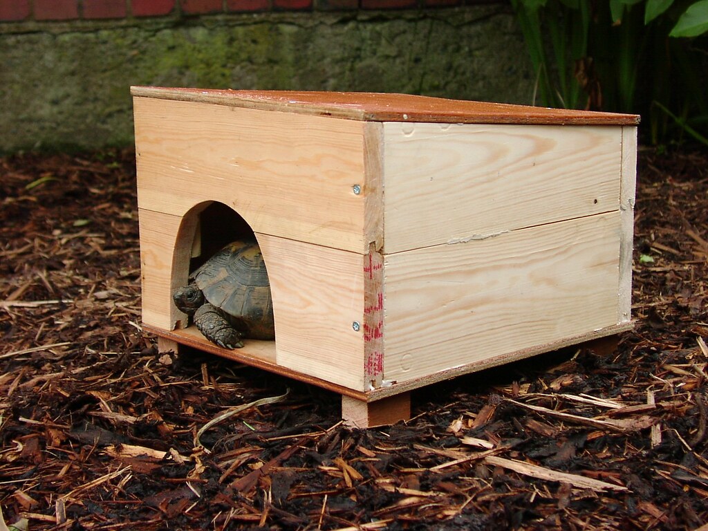 TortoiseBox2s3 I made a smaller tortoise kennel for the ot… Flickr