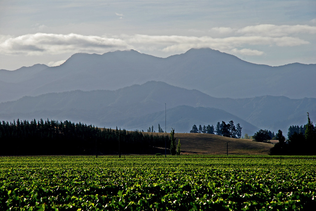 Wairau Valley, Marlborough, New Zealand, 24 Feb. 2007 Flickr