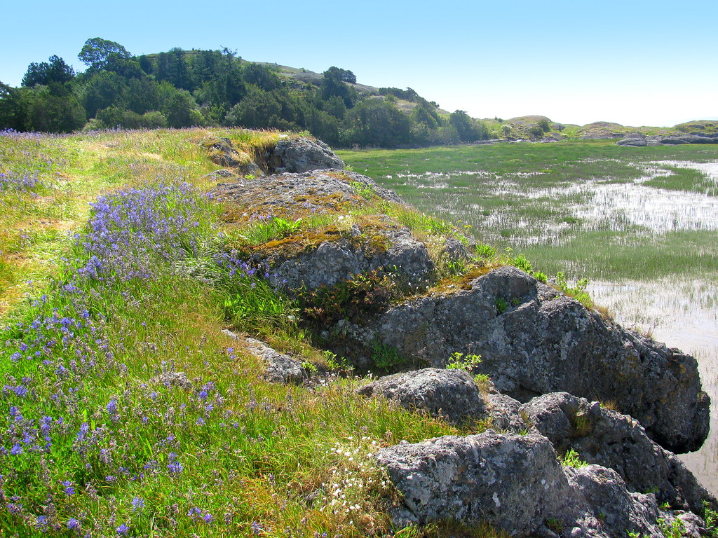 Craft Island Martha T Flickr