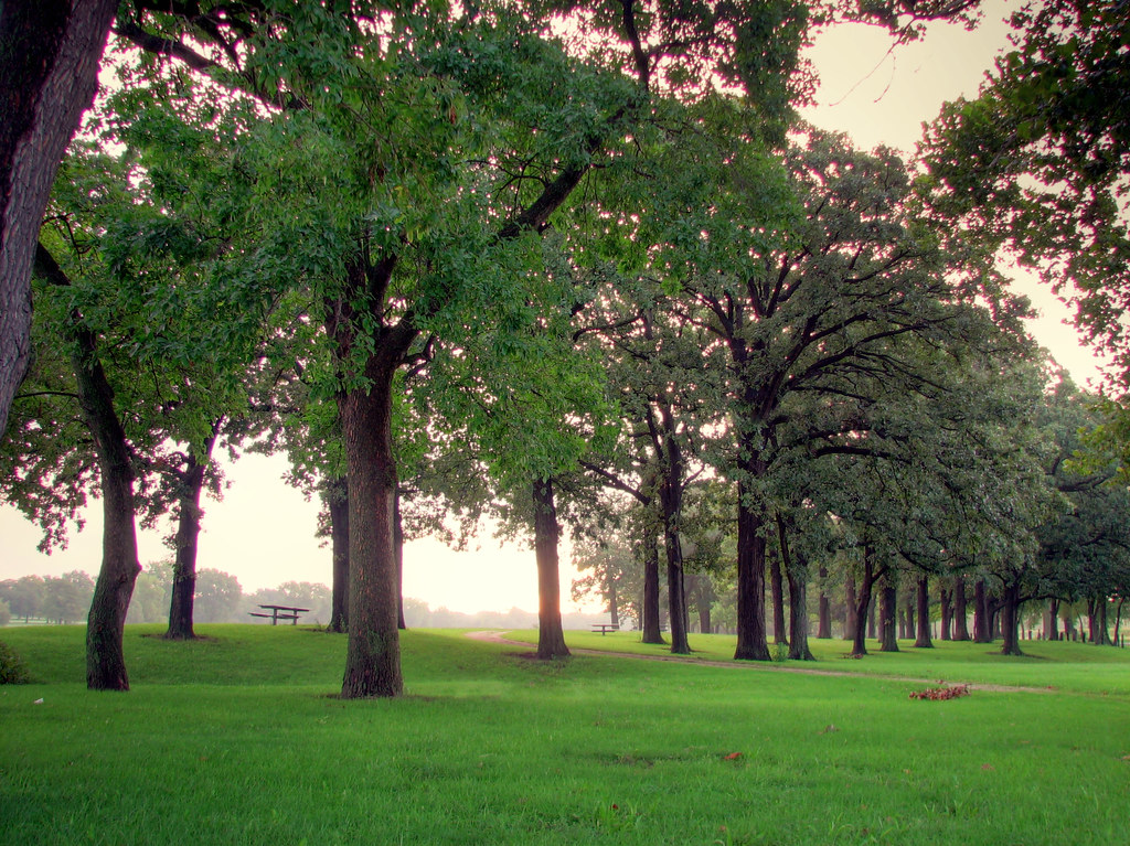 Kankakee River Road Park Taken on the morning of August 23… Flickr