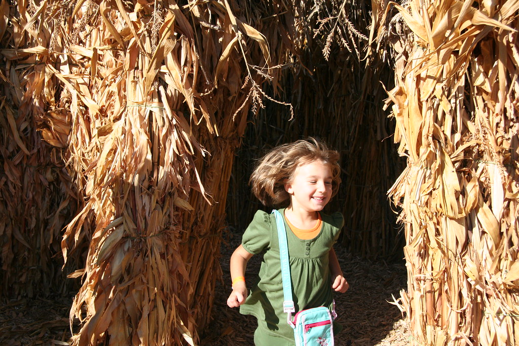 IMG_8658 Magdalena Kozik Flickr