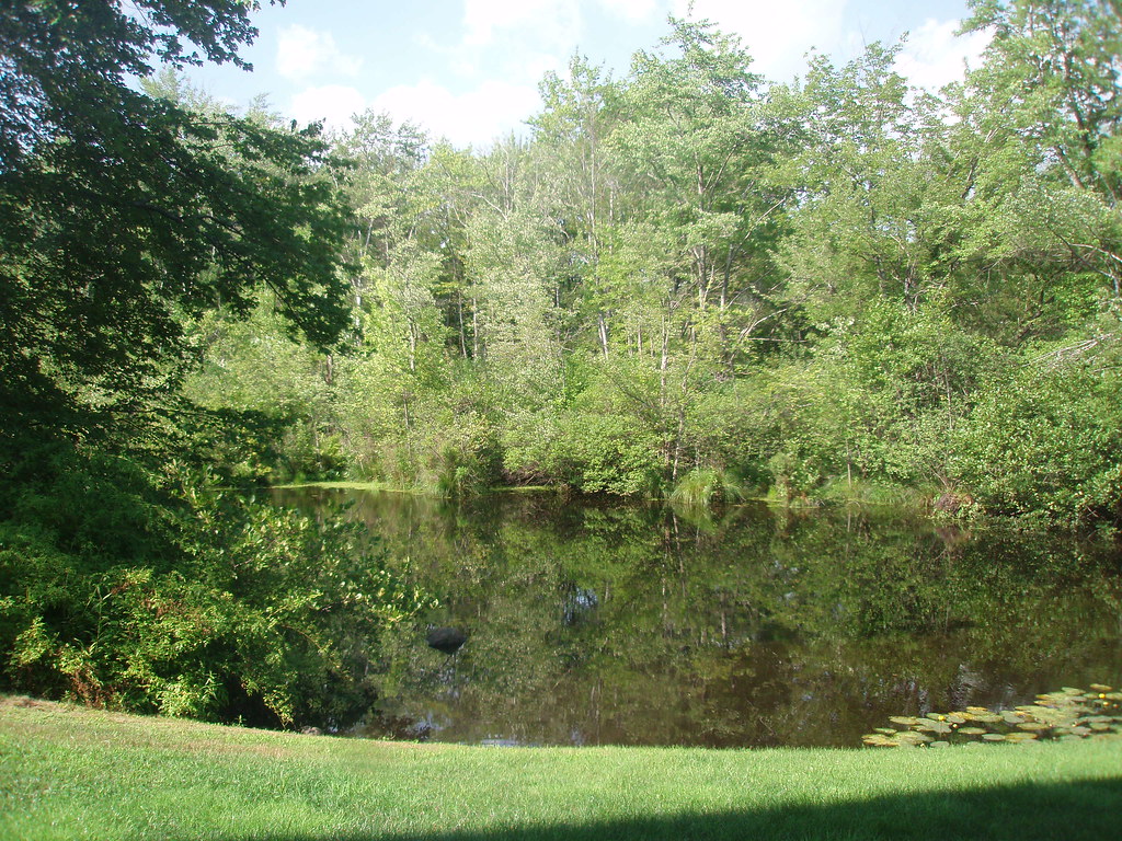 Emerald pond I have been really busy lately not much ti… Flickr
