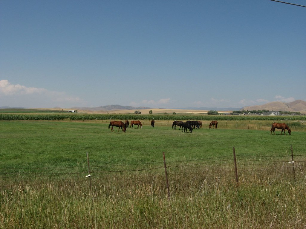 Franklin County, Idaho Flickr