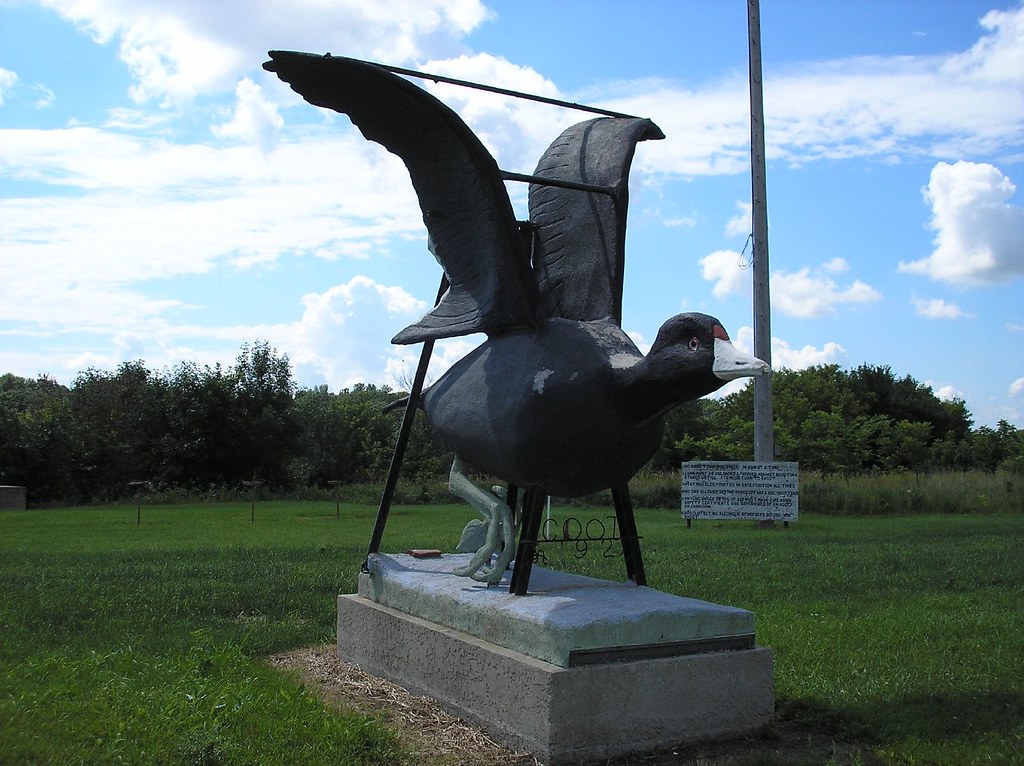 World's Largest Coot Ashby, MN thebigstuffproject.blogspot… Flickr