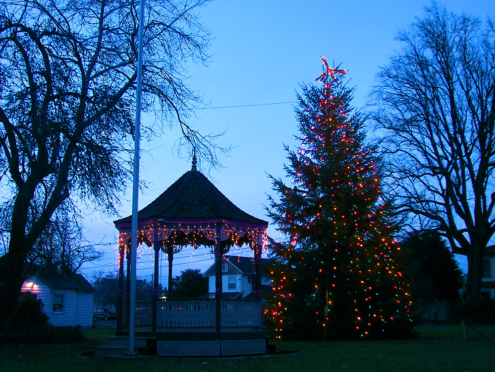 Christmas Trees Oregon City The Town Tree The town Christmas tree in Stayton, Oregon. … Flickr