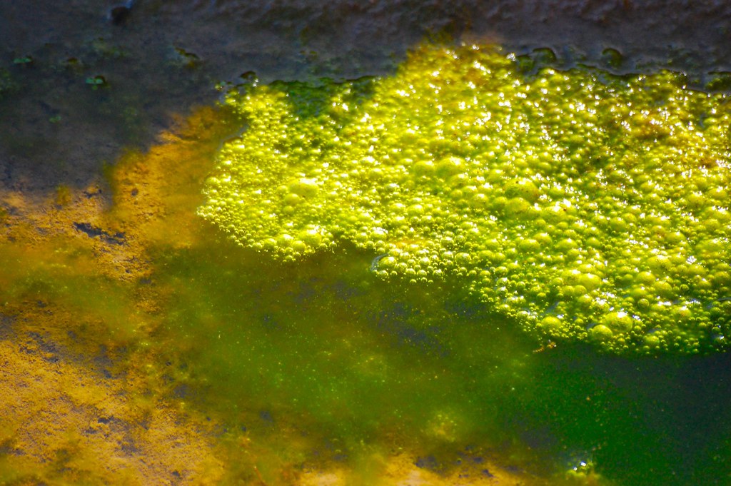 flaque d'eau vousti Flickr