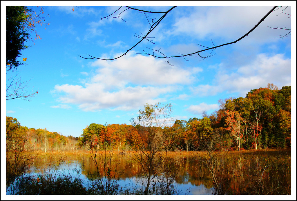 St. Leonard Creek, MD Flickr