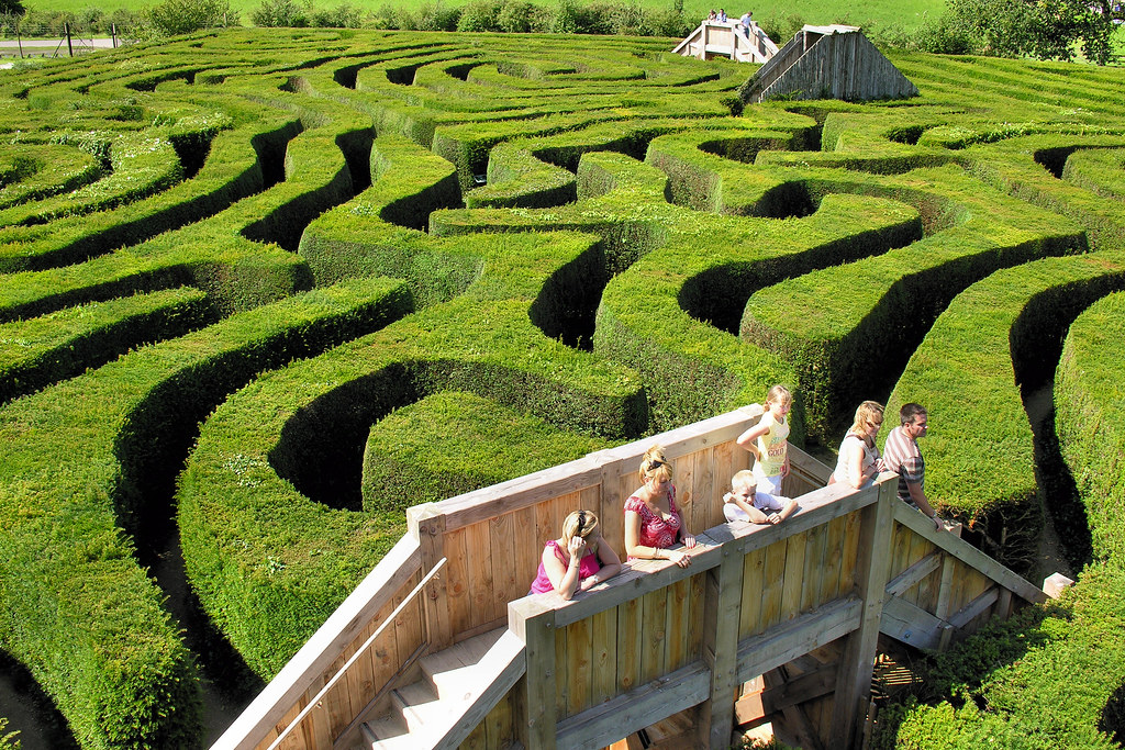 Longleat Hedge Maze | The Longleat Hedge Maze at Longleat Sa