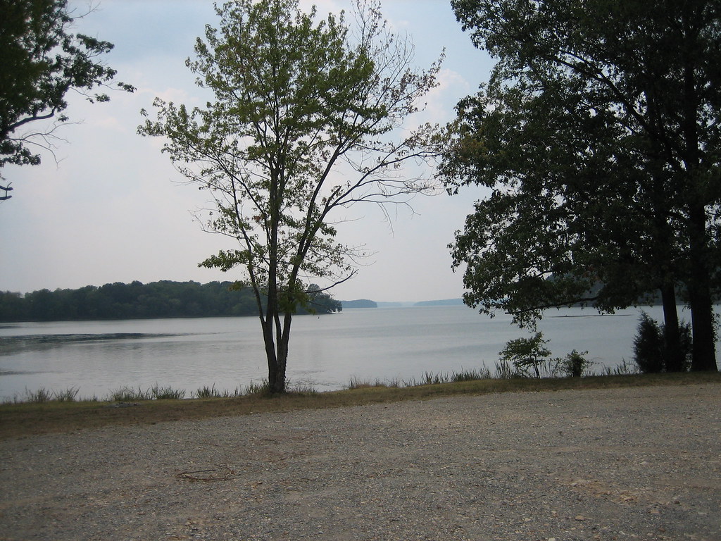 IMG_0004 Ginger Bay cathyslife Flickr