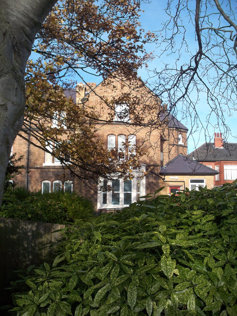 Park Road North Park Road North Bolckow Flickr